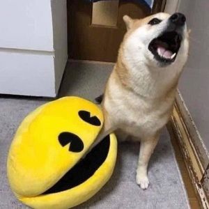 Meet your Posher, Bernardo